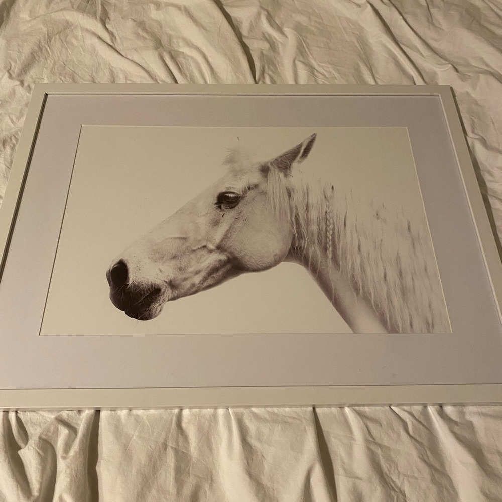 White horse portrait (hobby lobby)